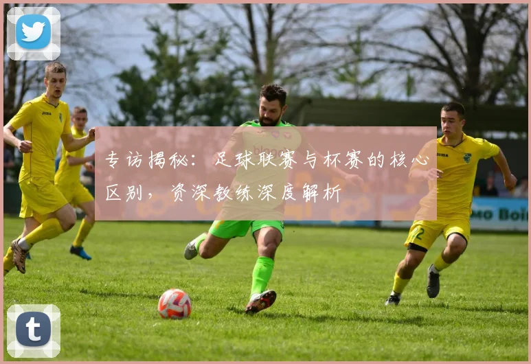 专访揭秘：足球联赛与杯赛的核心区别，资深教练深度解析